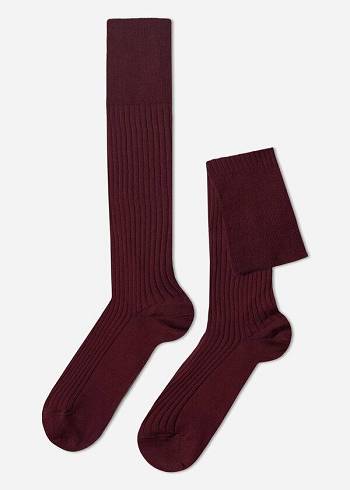 Calzedonia Lisle Thread Costine Long Uomo Calzini Bordeaux | IT2753QZ